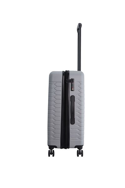 Discovery Reptile ABS Medium, TSA Lock, Expandable, 4 Double Wheels, 24 Inch Silver