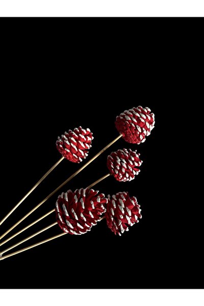 ART PINE DEKORATİF NATURAL BAMBOO DOĞAL KOZALAK DEMETLERİ , MASAÜSTÜ BAHÇE EV...