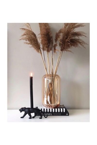 1001Naturel 7 Adet Dekoratif Pampas Otu