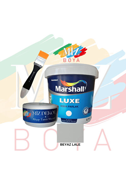 Marshall mutfak dolabı ,panel kapı ve  çelik kapı  boyama seti