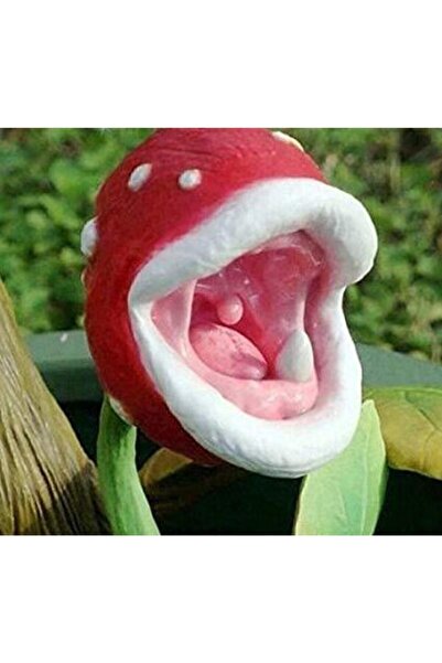 Serdar Çam Tohumculuk Etçil Etobur Sinek Kapan Bitkisi Tohumu 5 Adet Tohum