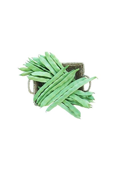 Çam Tohumculuk Alman Kılçıksız Ayşe Kadın Sırık Fasulye Tohumu 15 Adet Tohum Bol Verim Fasülye