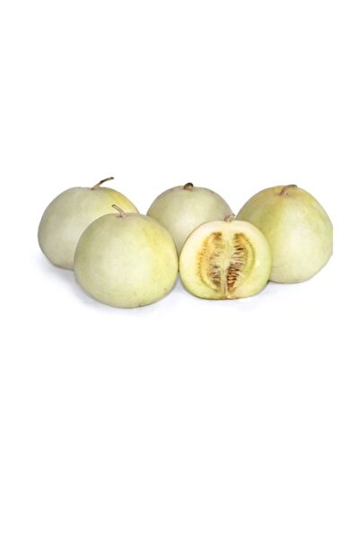 Genel Markalar Elma Kavunu Tohumu 5 Adet Tohum Apple Melon Kavun Tohumu