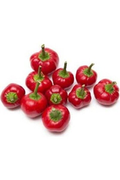 Serdar Çam Tohumculuk Nadir Tatlı Kiraz Biberi Tohumu Ekim Seti 10 Tohum Top ...