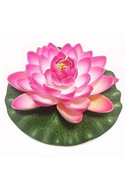 Genel Markalar Süper Paket 20 Adet Tohum Lotus Tohumu Nilüfer Çiçeği Tohumu