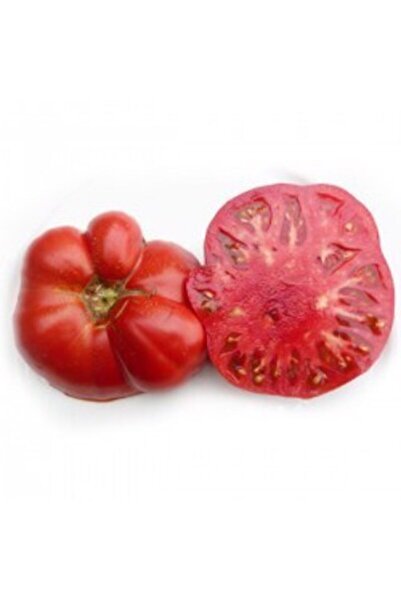 Serdar Çam Tohumculuk Süper Paket 200 Adet Tohum Geleneksel Ankara Ayaş Domat...