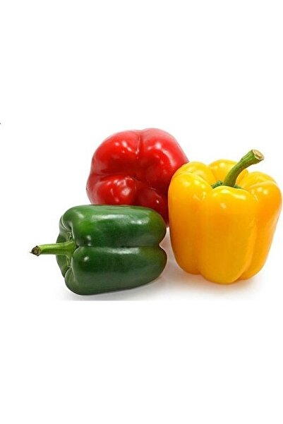 ata tohumculuk 20 Adet Tohum Rengarenk Dolmalık Biber Tohumu Ata Tohum + Sebz...