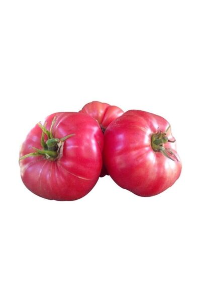 Genel Markalar Nadir İri Pembe Domates Tohumu 10 Adet Tohum Bulgar Domatesi
