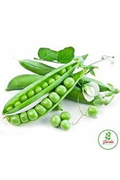 ata tohumculuk 20 Adet Tohum Organik Orjinal Geleneksel Bezelye Tohumu Sürpri...