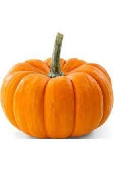 ata tohumculuk 5 Adet Yerli İri Sarı Bal Kabağı Tohumu