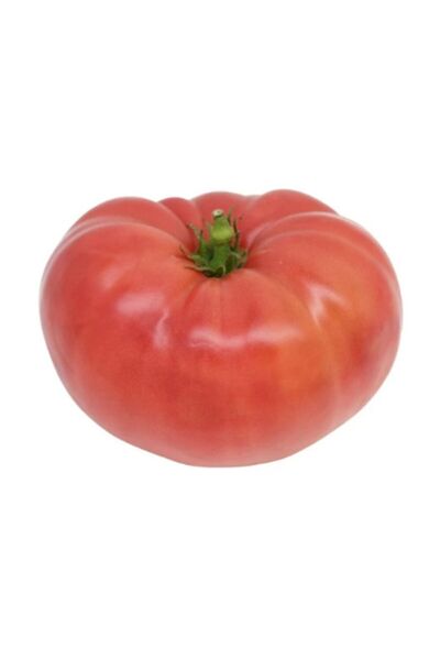 Serdar Çam Tohumculuk Meşhur Ankara Ayaş Domates Tohumu 10 Adet Tohum Ayaş Do...