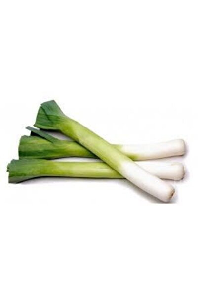 ata tohumculuk 50 Adet Tohum Bursa Inegöl Pırasa Tohumu Prasa Tohumu Süpriz H...