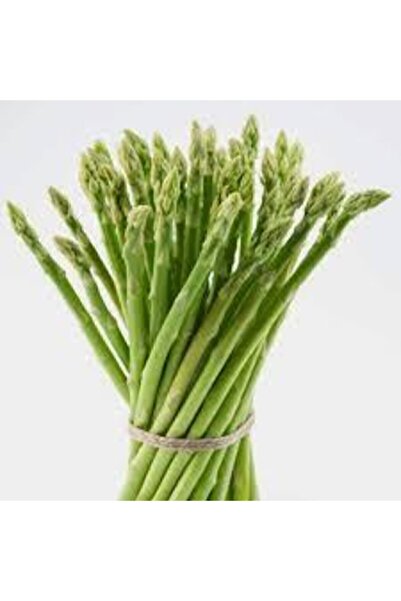 ata tohumculuk 10 Adet Tohum Kuşkonmaz Tohumu Nadir Bulunan Kuş Konmaz Kuşkonmaz Tohumu