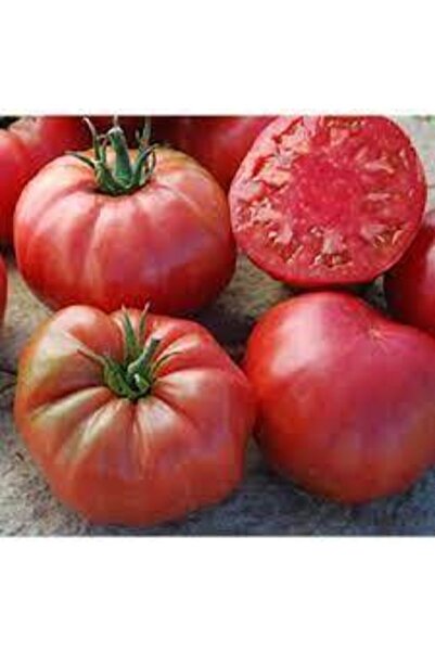 ata tohumculuk Tohum Orjinal Köy Domatesi Tohumu 20 Adet