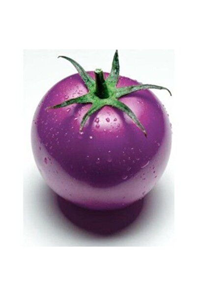 Çam Tohumculuk Mor Domates Tohumu 5 Tohum