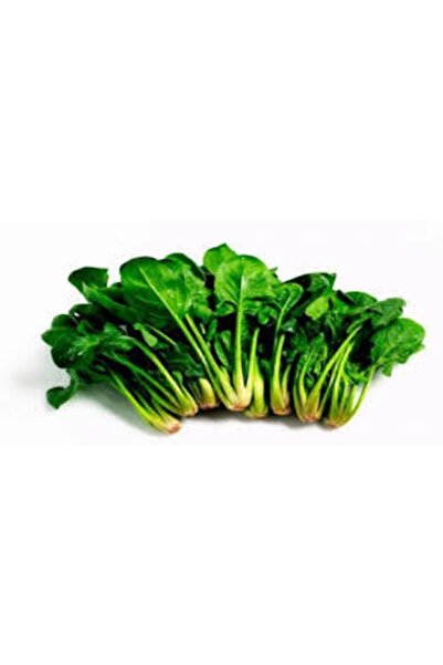 ata tohumculuk Ispanak Tohumu  50 Adet