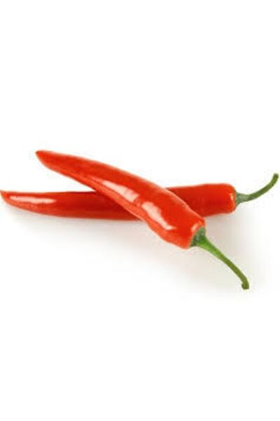 ata tohumculuk 30 Adet Şili Biberi Tohumu