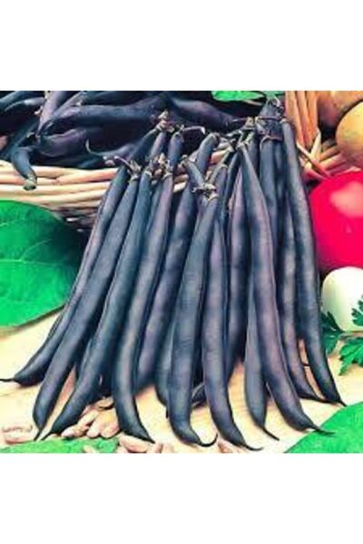 ata tohumculuk 20 Adet Tohum Siyah Fasulye Tohumu Sırık Fasulye Tohumu Fasuly...