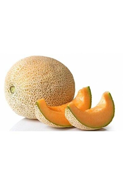 Genel Markalar Iri Bal Ananas Kavunu Tohumu Kavun Tohumu 15 Adet Tohum