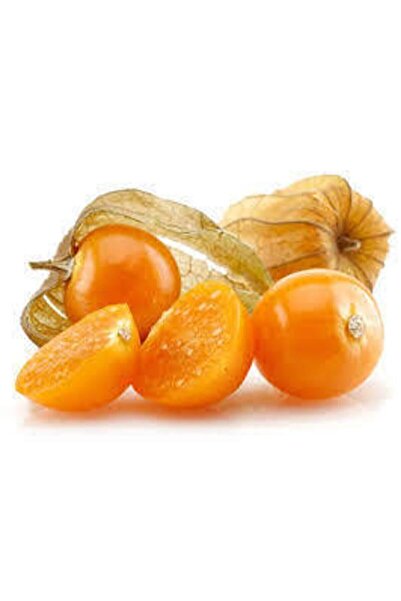 ata tohumculuk 10 Adet Tohum Tropikal Altın Çilek