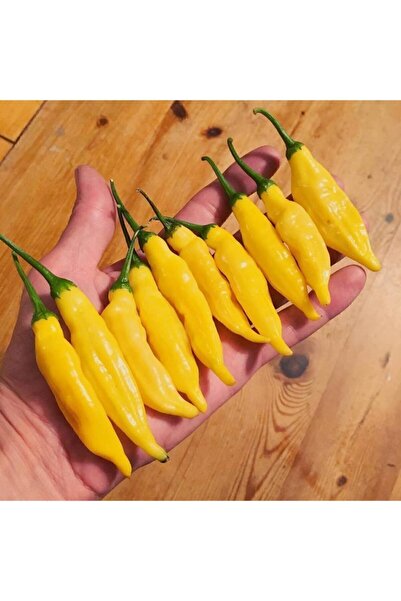Genel Markalar Tohumculuk Limon Damlası Acı Biber Tohumu (10 Tohum)
