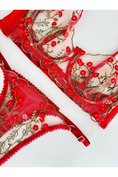 BELINGE Set of Lace Bra Panties