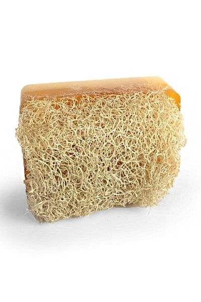 Bio Vitals Organic Handmade Milk Honey Pumpkin Fiber Soap