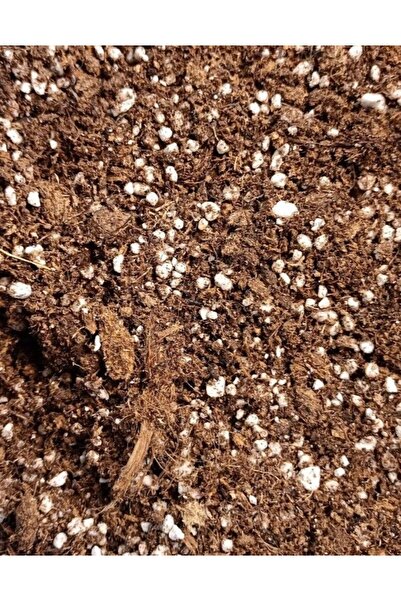 bitkicim Etobur Bitki 2 lt. Özel karışım toprak torf sphagnum peat moss organ...