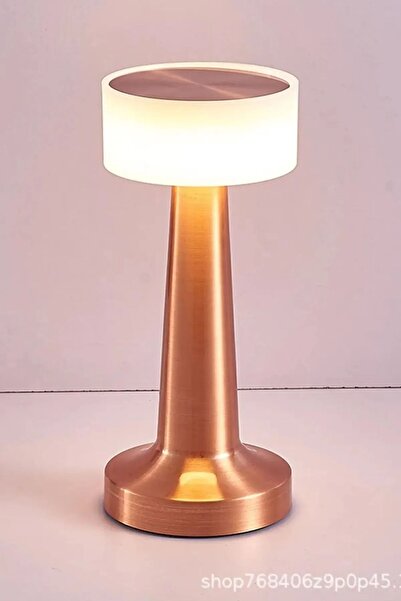 HANGAST Dekoratif Şarjlı Dokunmatik Led Masa Lambası Usb Kablolu Abajur Ve Gece Lambası Bakır Renk