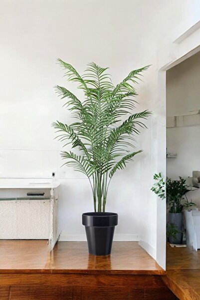 ERHAN FLOWERS ÇİÇEK & DEKORASYON Yapay Ağaç Areka Ağacı Palmiye Ağacı Salon B...