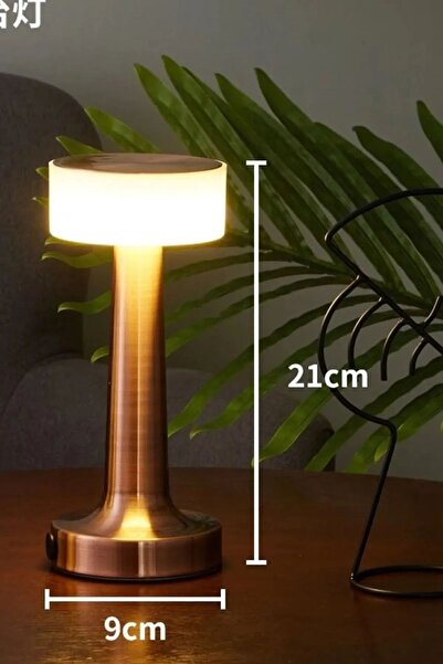 HANGAST Dekoratif Şarjlı Dokunmatik Led Masa Lambası Usb Kablolu Abajur Ve Gece Lambası Bakır Renk
