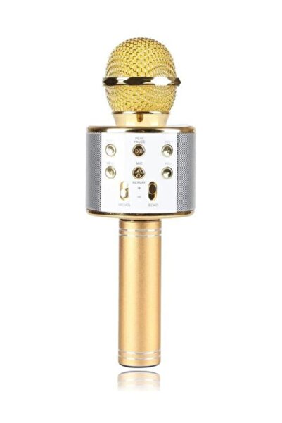 Onetick 858 Bluetooth Karaoke Mikrofon Sd Usb Aux Girişli Gold