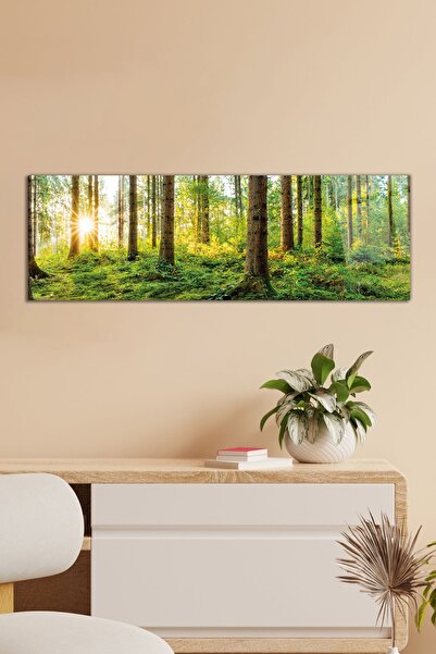 Vosevu Güneş Yeşil Doğa Orman Panoramik Cam Tablo, Modern Ev ve Ofis Dekoru, ...