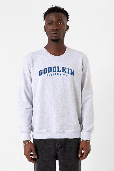 Tshirthane Ανδρικό φούτερ Gen V Godolkin University Letter Karmelange 2ip