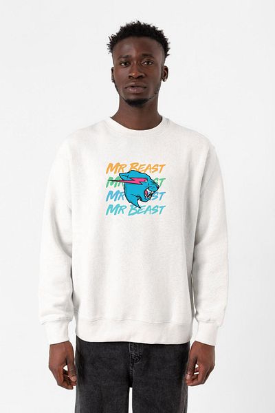 Tshirthane Ανδρικό φούτερ Mr Beast Lettern White 2ip