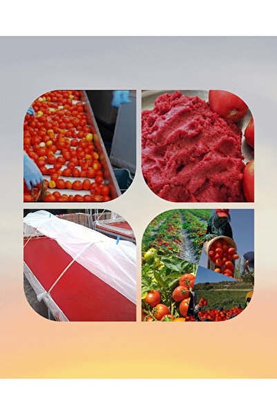 Gaziantep Güneş Kurusu Doğal Domates Salçası (1 KG)