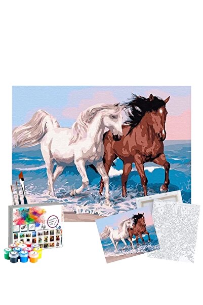 Genel Markalar Sayılarla Boyama Seti 40 x 50 cm Tuval Şasesine Gerili Atlar
