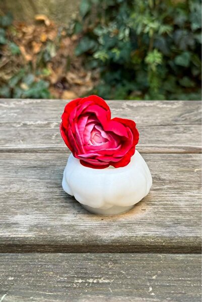 rufus concept Kaktüs 8 Silikon Mum Kalıbı