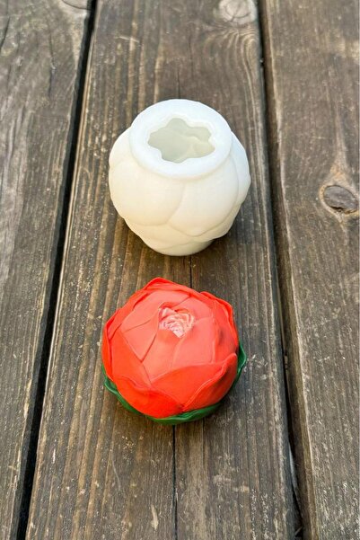 rufus concept Kaktüs 9 Silikon Mum Kalıbı