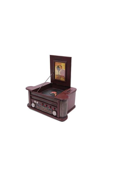 NON Nİ Gift Decorative Metal Piggy Bank Framed with Plate