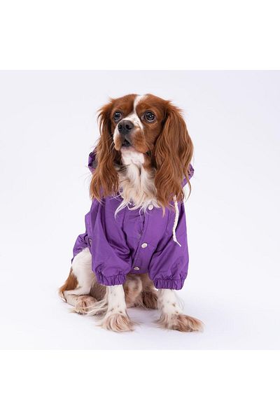 Pettrend Purple Coat Dog Coat Dog Apparel Dog Raincoat (Small-Large Breeds)