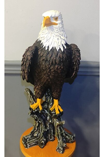 Bu Hobi Sanat Kartal Heykel Biblo Obje