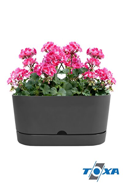 ToXA 5.5 Litre Gri Begonya Balkon Saksı Dekoratif Tabaklı Izgarasız Mat Plastik Saksı