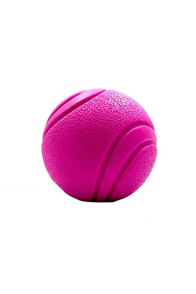 Tasma Market 7.6cm Blue and Purple Soft Textured Dog Play Ball Set of 2