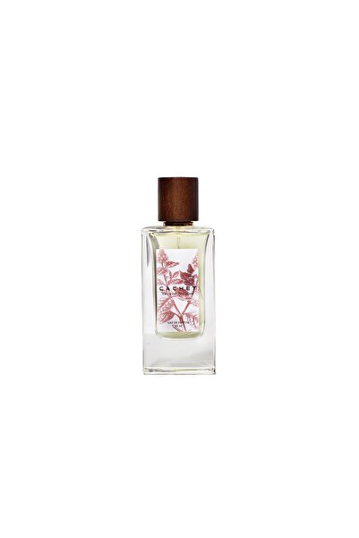 Cachet Patchouli Sedusiant Edp 65 Cc Unisex Parfüm 1203004