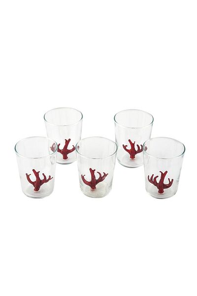 Cemile Set of 6 Water Glasses with Coral