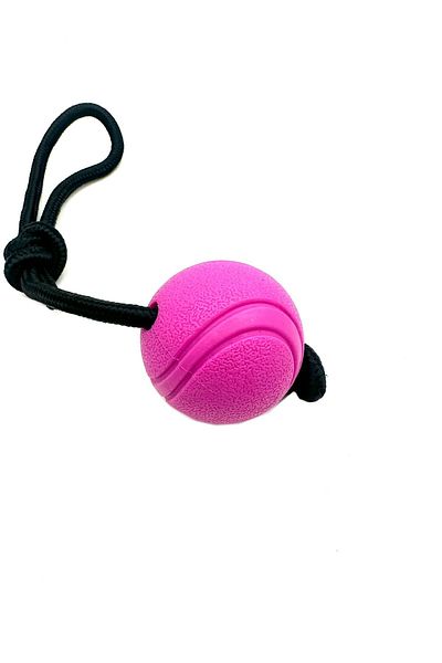 Tasma Market Soft Textured Purple Dog Training Ball - Rope Toy