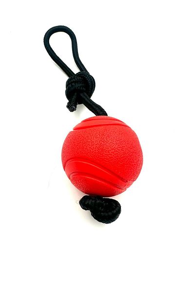Tasma Market Soft Textured Red Dog Training Ball - Rope Toy