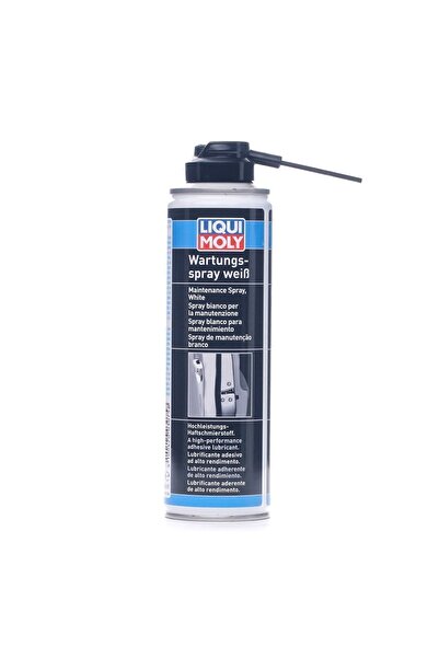Liqui Moly Kapı Kilit Spreyi 250 ml (3075)