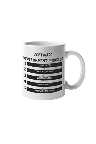 qoeuyl boutique Yazılımcı Mühendis Software Development Process Baskılı Eğlenceli Hediyelik Kupa Bardak
